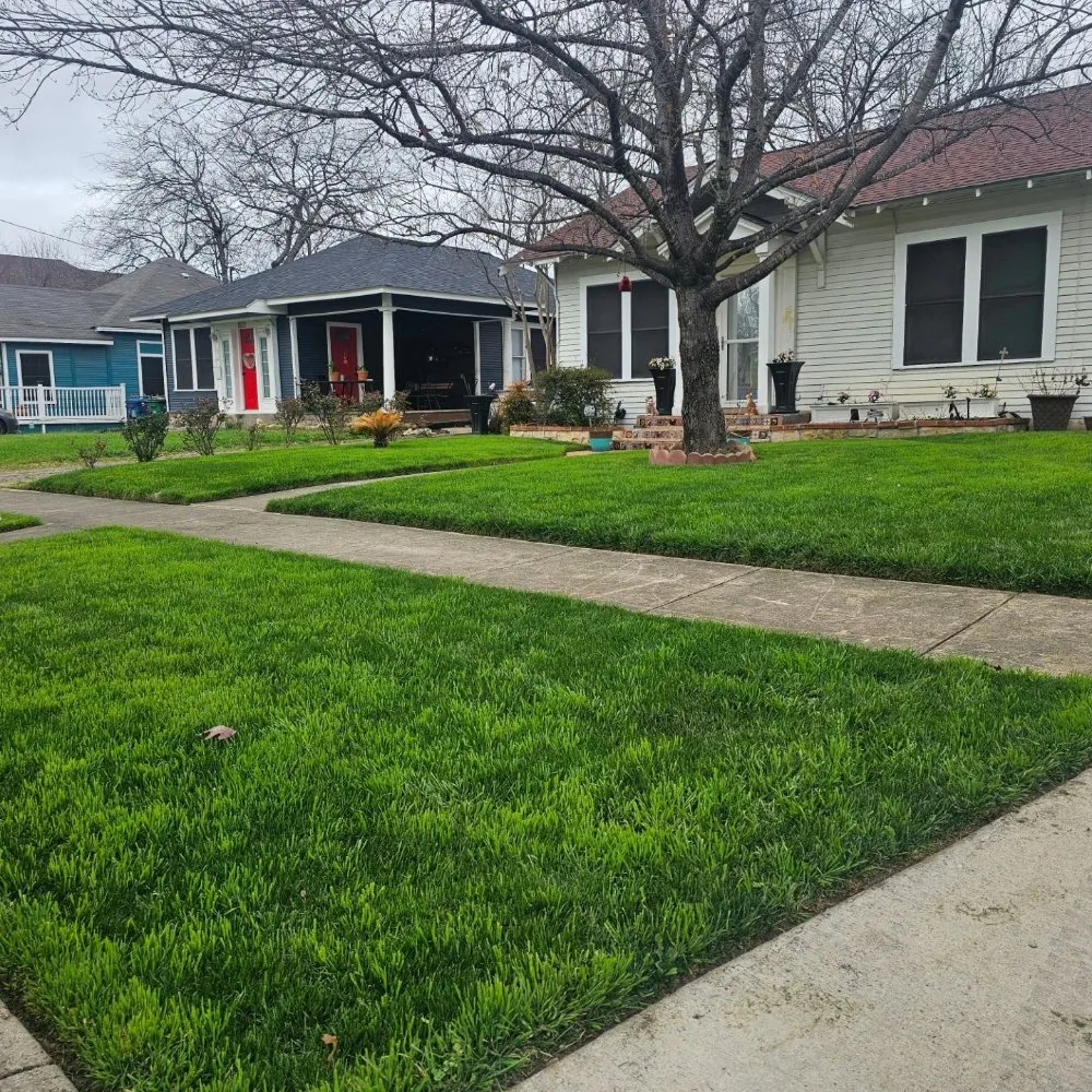 Trusted lawn mowing service with custom design in San Antonio, TX by R & H Lawncare