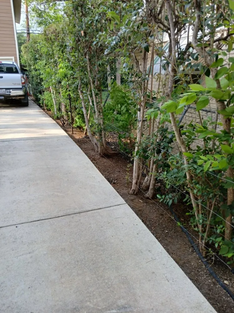 Professional landscaping services for year-round maintenance across San Antonio, TX - R & H Lawncare