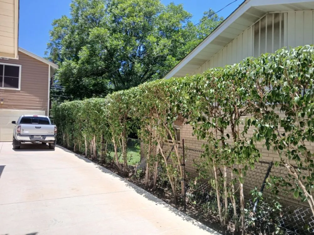 Professional lawn care service with custom design across San Antonio, TX - R & H Lawncare