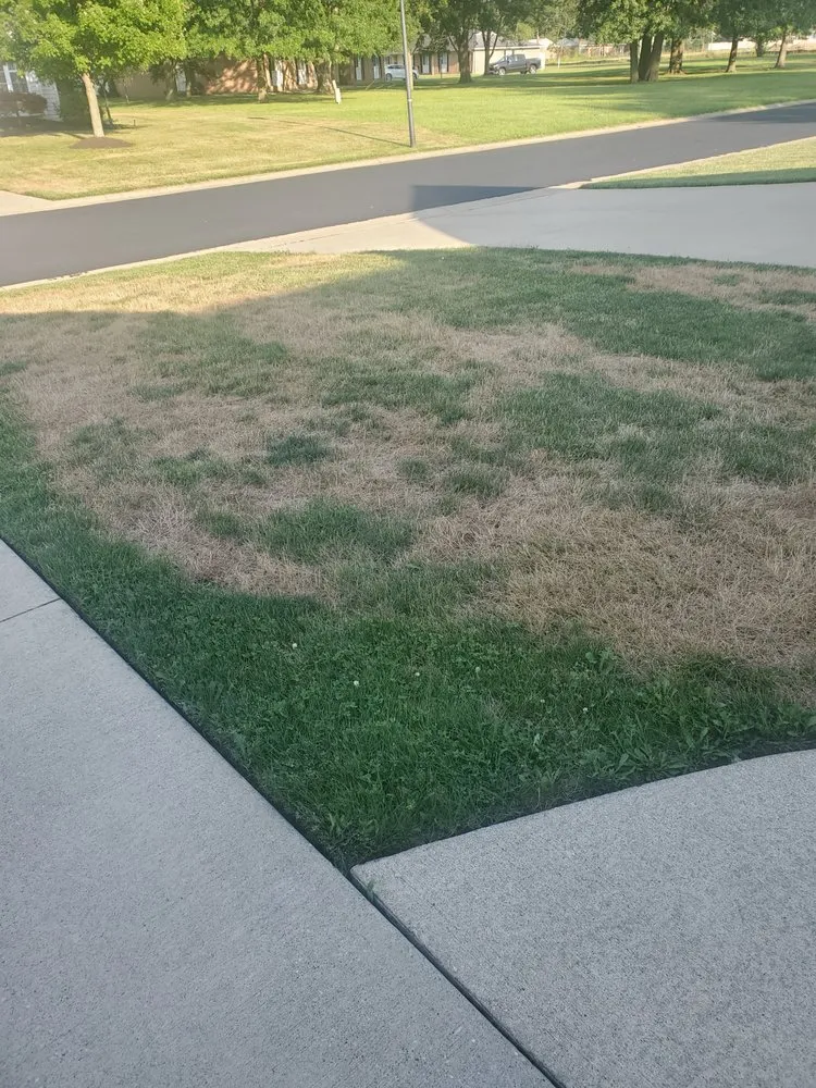 Professional lawn care service in Norwalk, OH by R & J Green keepers