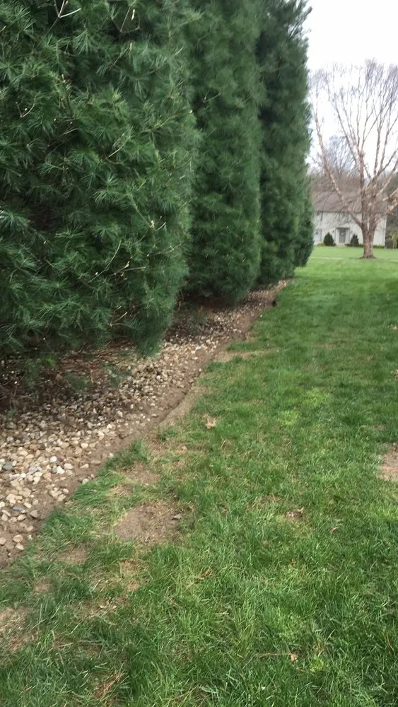 Reliable yard maintenance experts serving Norwalk, OH - R & J Green keepers
