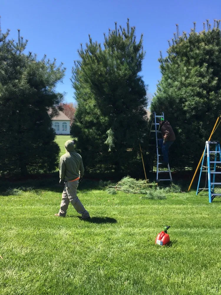 Affordable landscaping services for beautiful yards in Norwalk, OH by R & J Green keepers