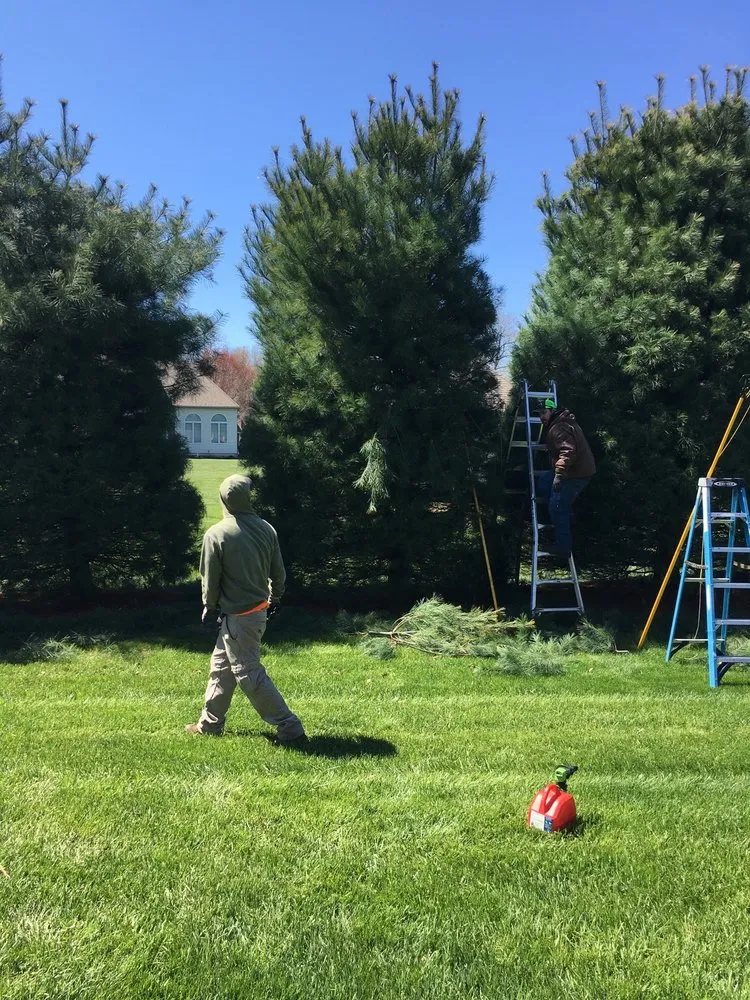 Professional outdoor landscaping in Norwalk, OH - R & J Green keepers