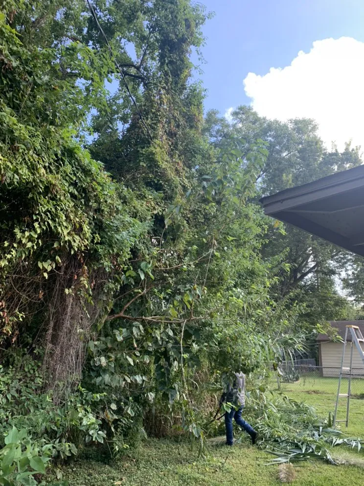 Affordable lawn mowing service for year-round maintenance across Houston, TX - R & J Handyman Services & Landscaping