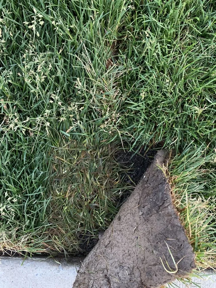 Expert outdoor landscaping for year-round maintenance across Hayden, ID - R & J Landscaping & Sprinkler