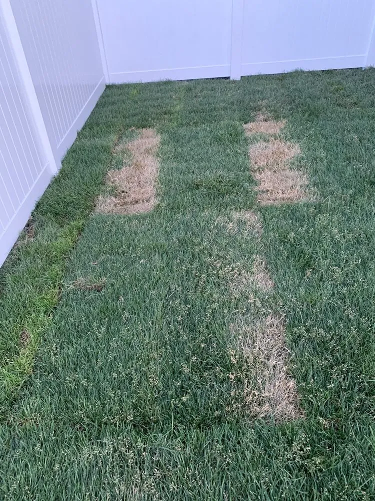 Expert landscape design for homes in Hayden, ID by R & J Landscaping & Sprinkler