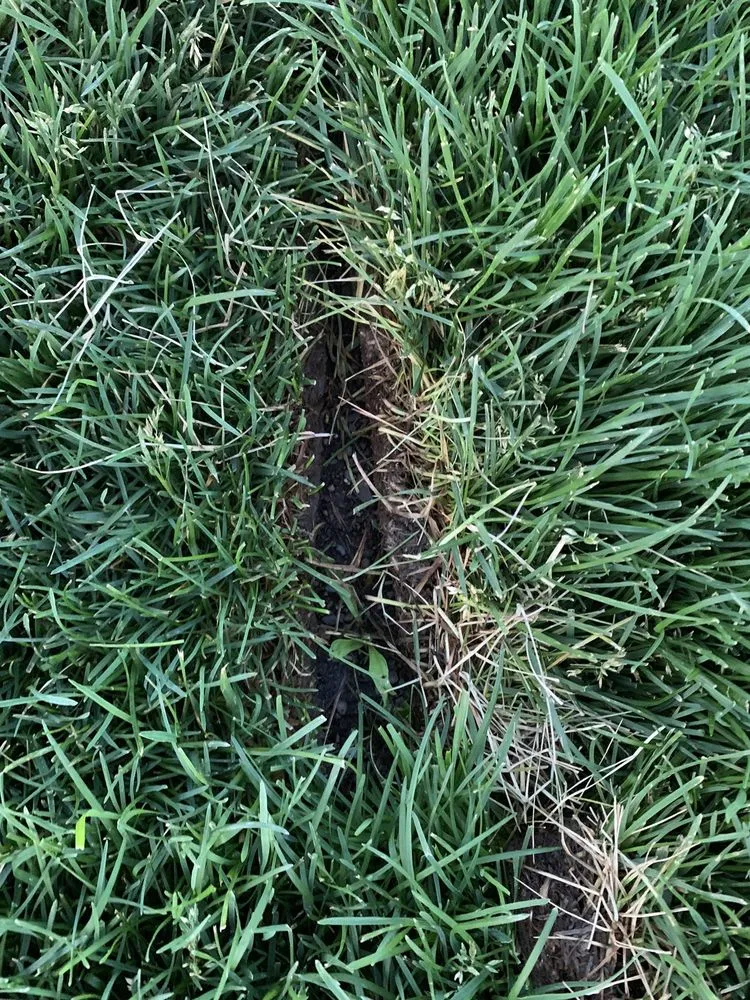 Top-rated yard cleanup service for homes in Hayden, ID by R & J Landscaping & Sprinkler