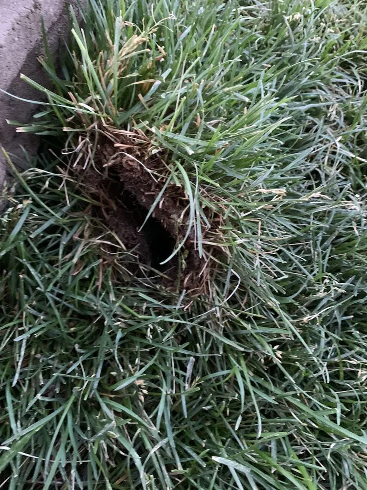 Affordable residential landscaping for homes across Hayden, ID - R & J Landscaping & Sprinkler