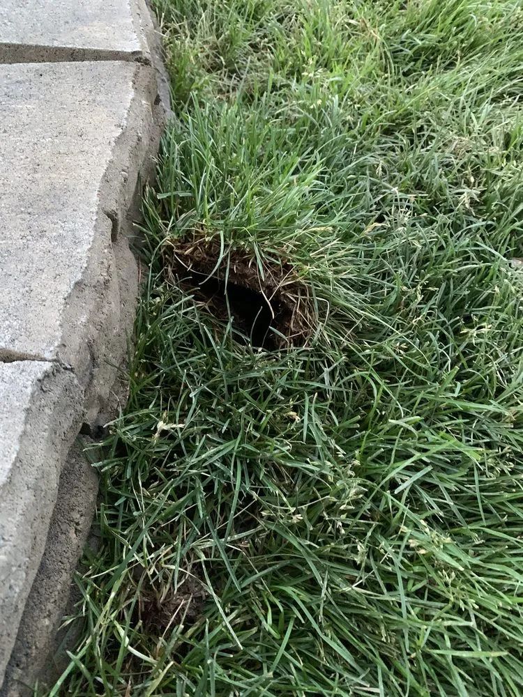 Local landscape installation in Hayden, ID by R & J Landscaping & Sprinkler