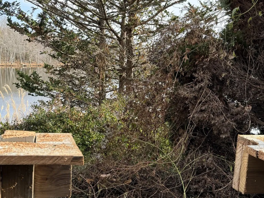 Trusted landscape installation with custom design in Crossville, TN by R & J Landscaping