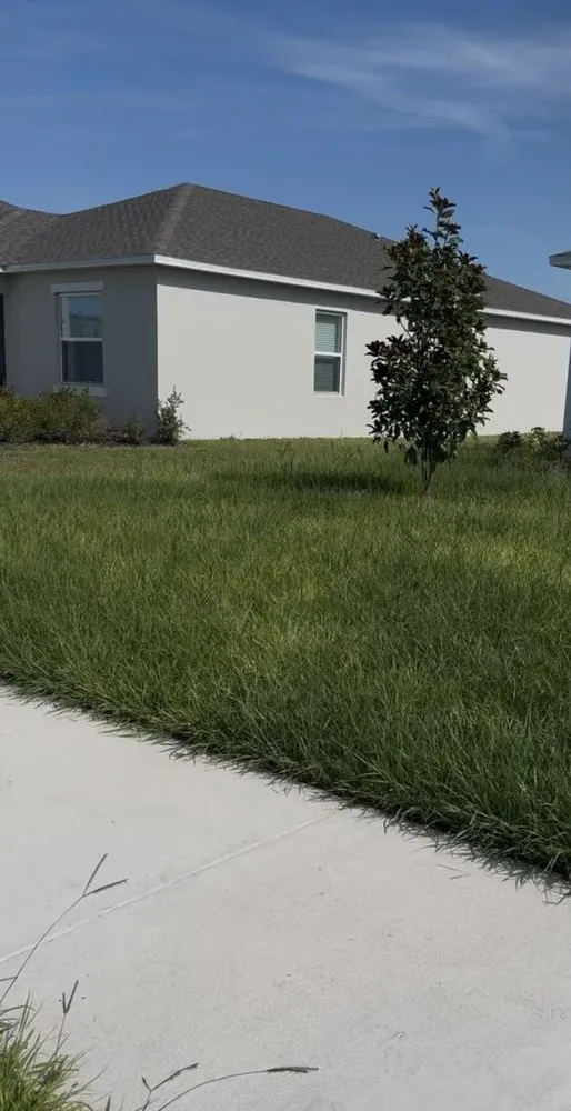 Professional lawn care service in Frostproof, FL by R & J Landscaping