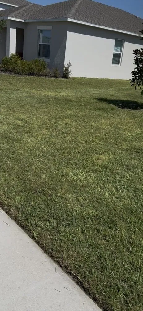 Top-rated landscape installation experts serving Frostproof, FL - R & J Landscaping