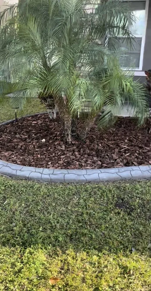 Reliable residential landscaping with custom design across Frostproof, FL - R & J Landscaping