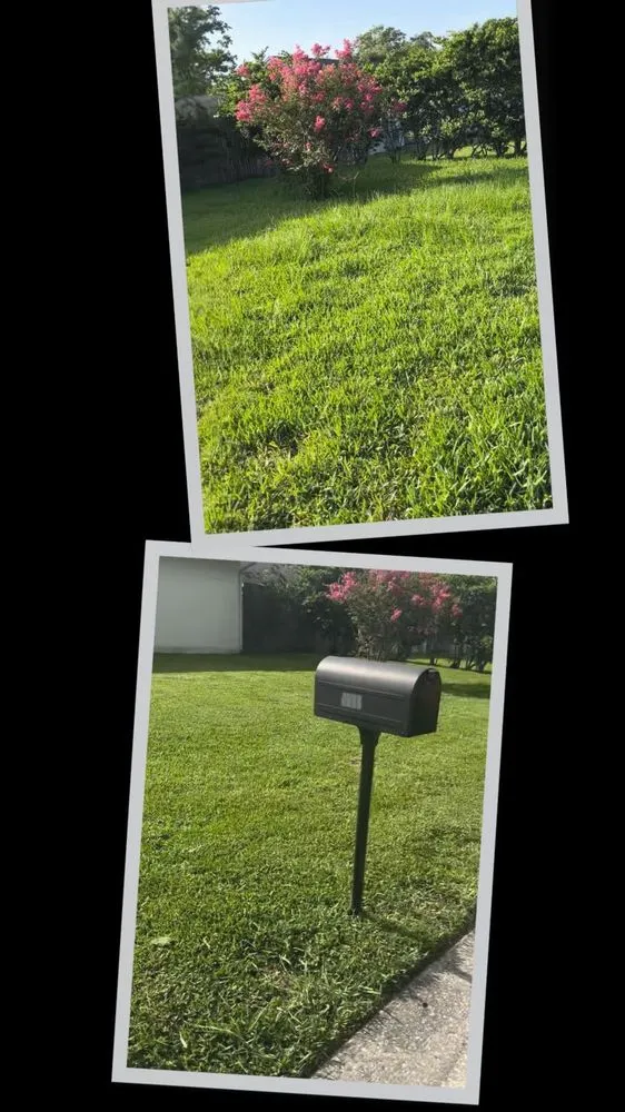 Trusted yard maintenance in Frostproof, FL by R & J Landscaping