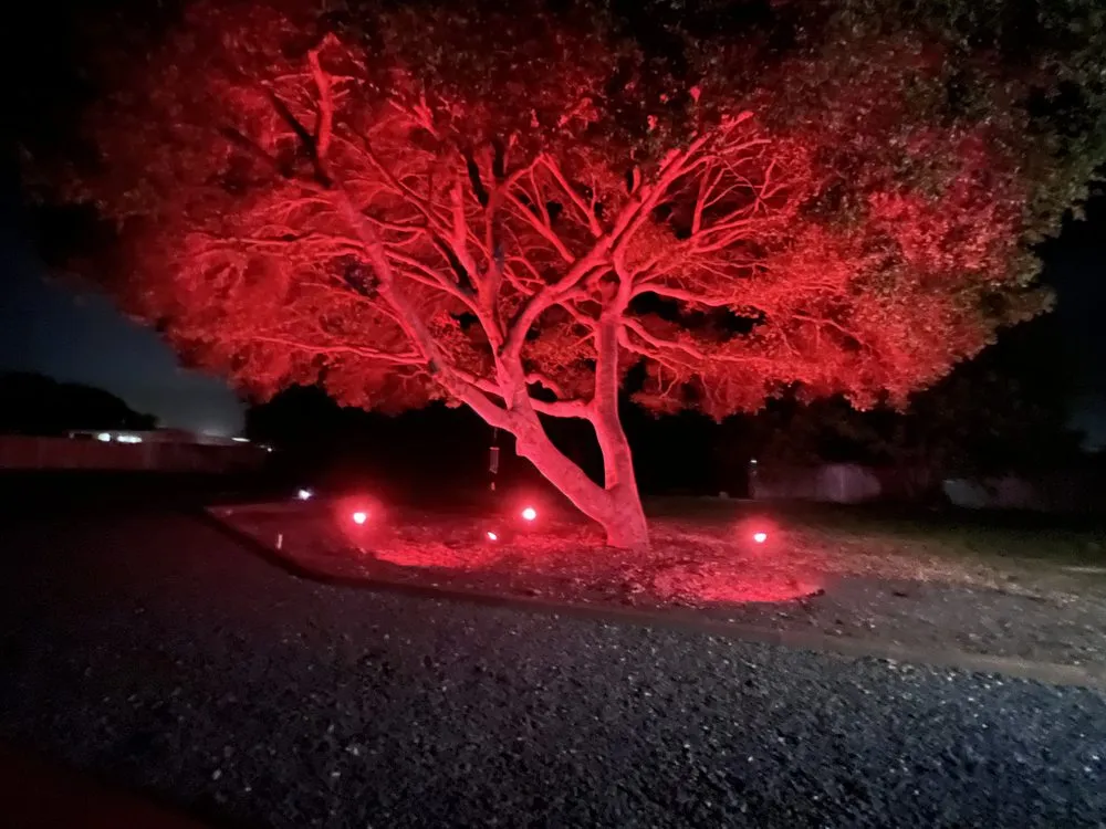 Professional landscaping services experts serving San Jose, CA - R & J Landscaping