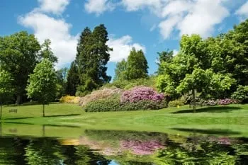 Expert residential landscaping in San Jose, CA by R & J Landscaping