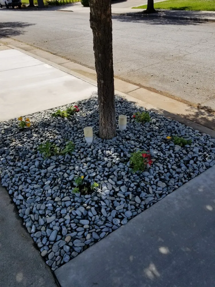 Professional lawn care service in San Jose, CA - R & J Landscaping