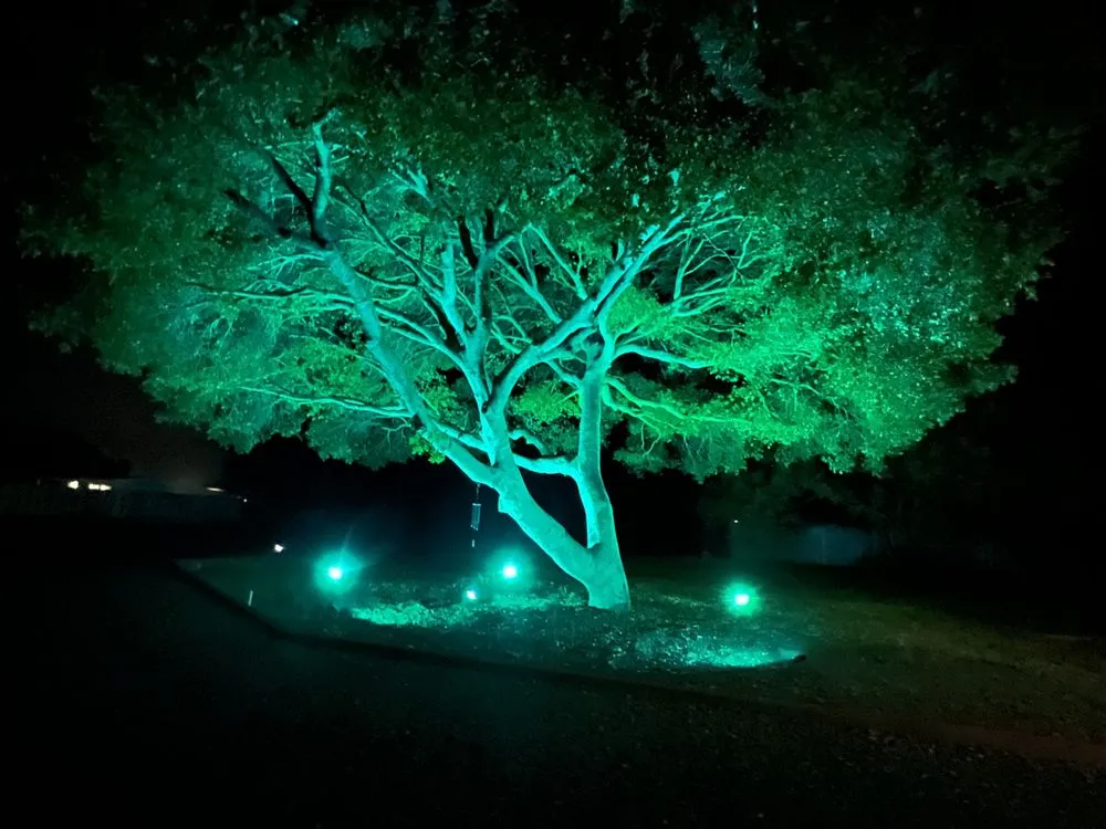 Custom lawn mowing service for beautiful yards in San Jose, CA by R & J Landscaping