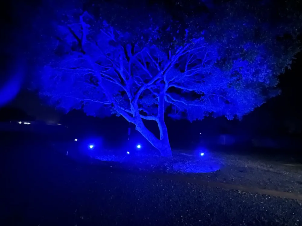 Reliable yard cleanup service near you in San Jose, CA by R & J Landscaping