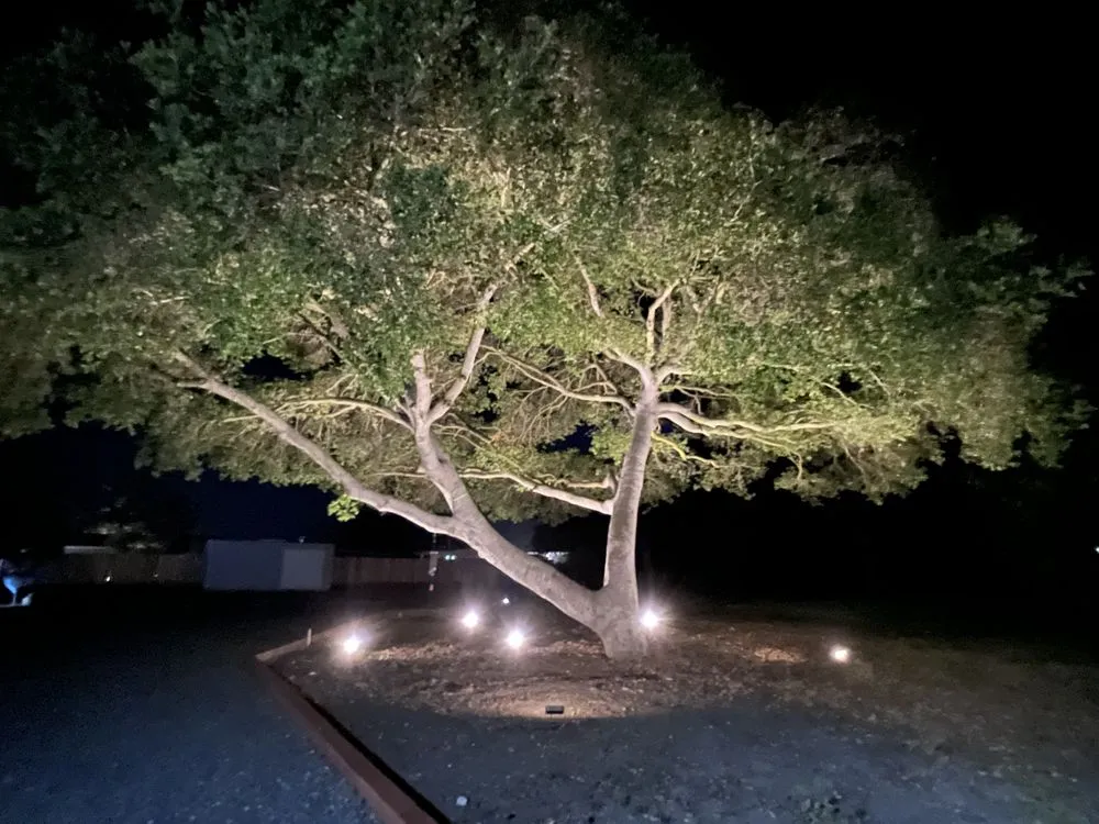 Affordable landscape design for beautiful yards in San Jose, CA by R & J Landscaping