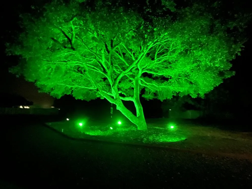 Custom garden landscaping experts serving San Jose, CA - R & J Landscaping