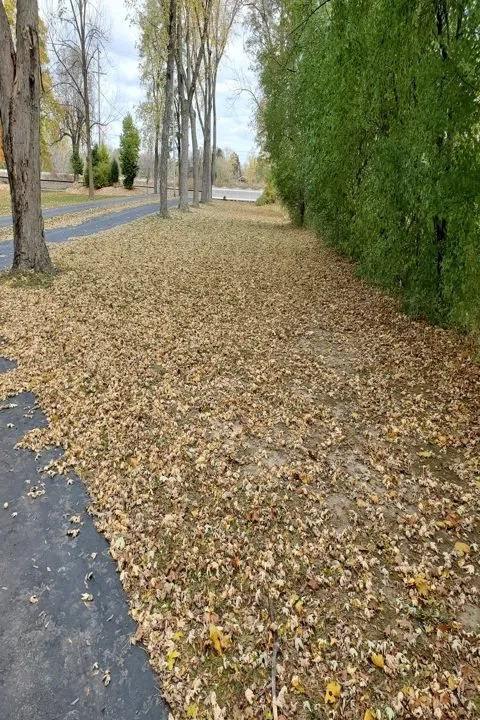 Professional landscape installation in Ixonia, WI by R & J Lawn Care