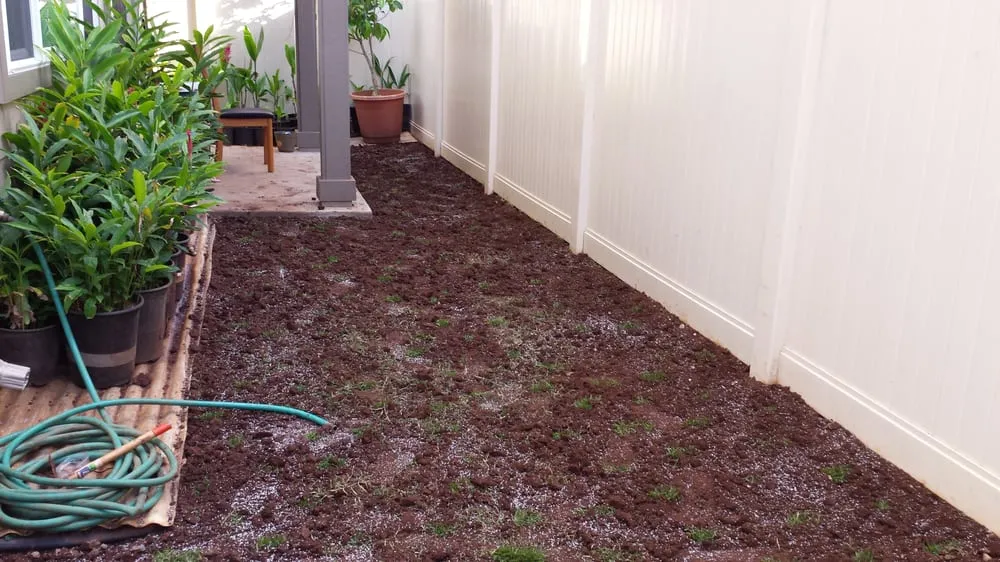 Professional landscaping services in Ewa Beach, HI - R & J Yard Service