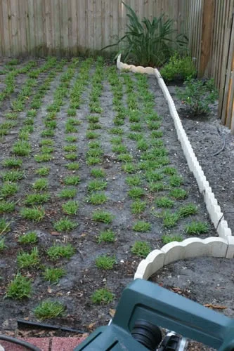 Trusted lawn mowing service for homes across Ewa Beach, HI - R & J Yard Service