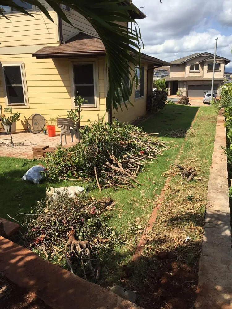 Affordable yard cleanup service for beautiful yards across Ewa Beach, HI - R & J Yard Service