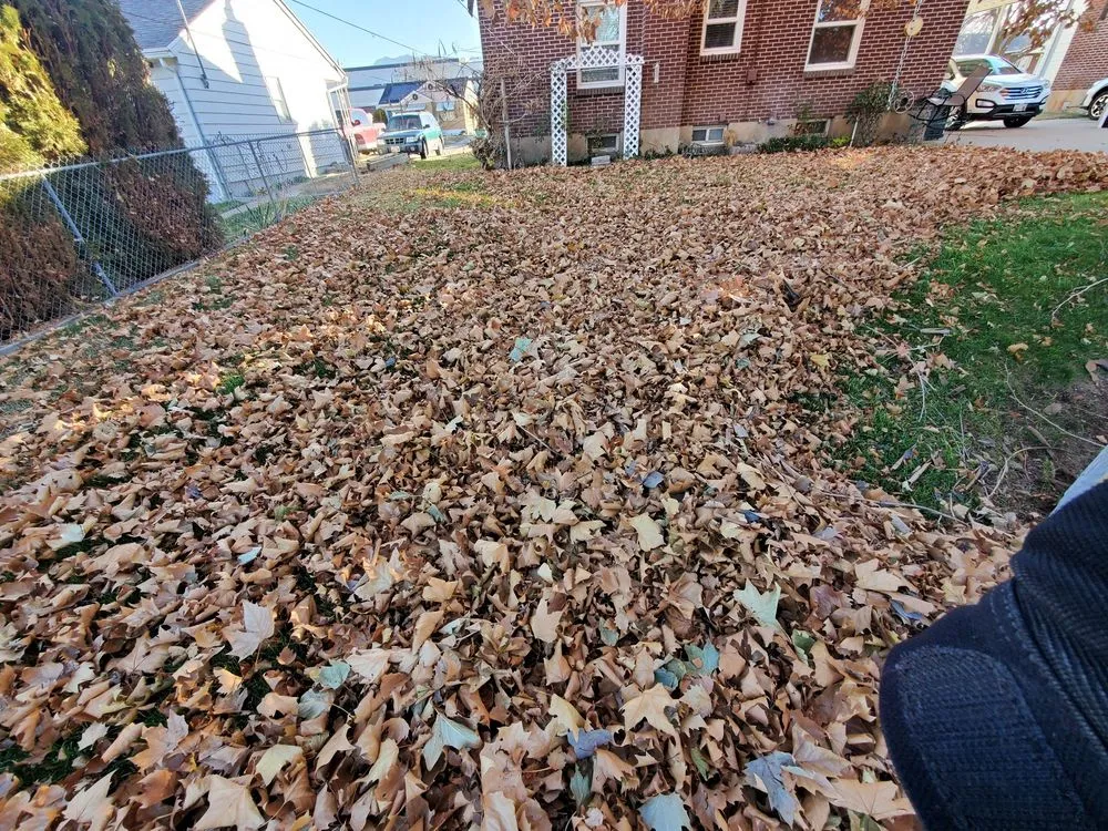 Expert landscape installation for residential properties in South Ogden, UT by R & J's Upkeep Service LLC