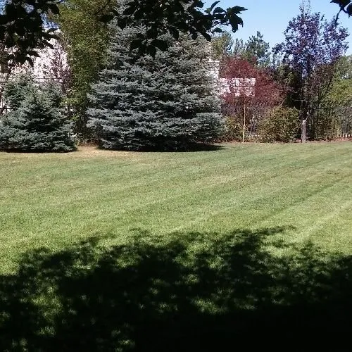 Custom yard maintenance for beautiful yards across South Ogden, UT - R & J's Upkeep Service LLC
