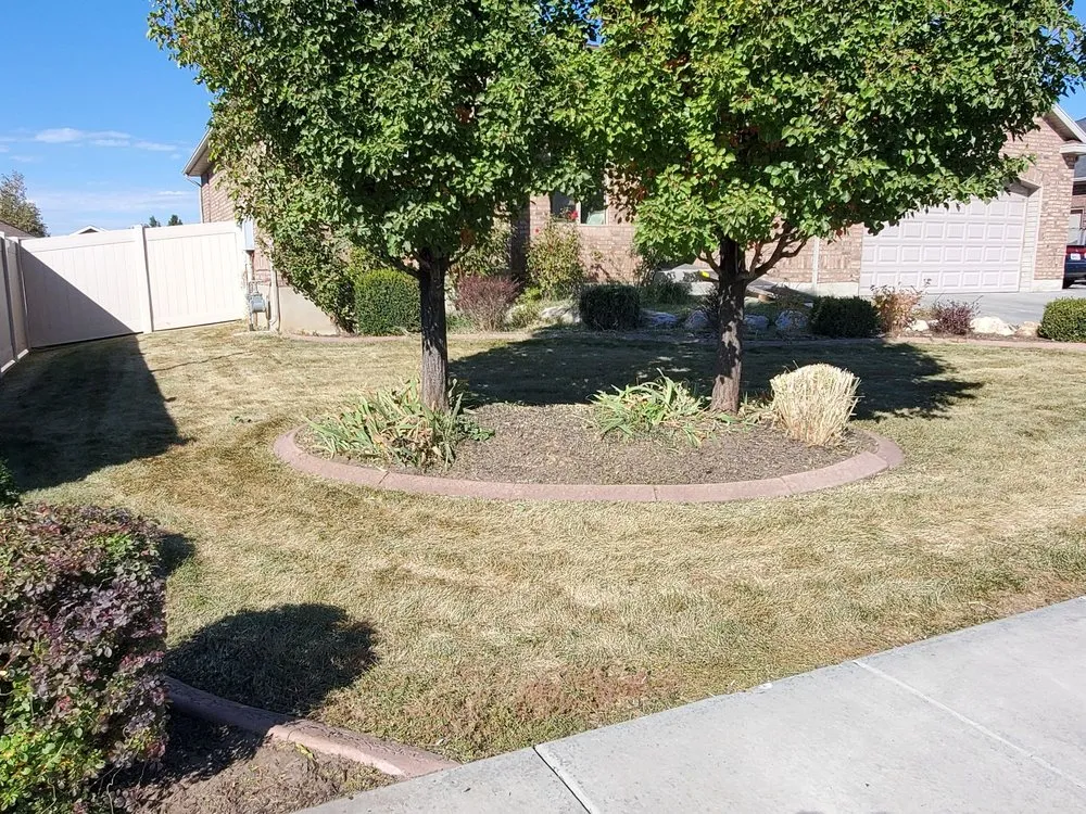 Reliable yard cleanup service experts serving South Ogden, UT - R & J's Upkeep Service LLC