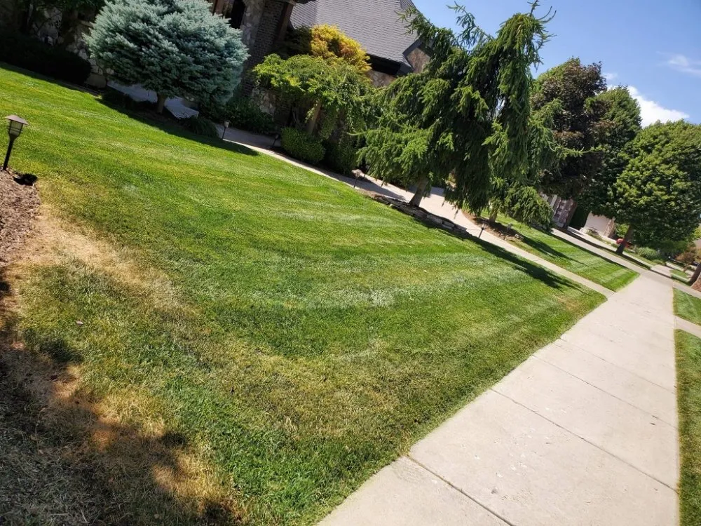 Trusted yard cleanup service experts serving South Ogden, UT - R & Js Upkeep Service