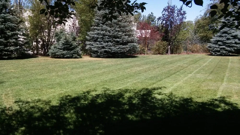 Local outdoor landscaping for homes in South Ogden, UT by R & Js Upkeep Service