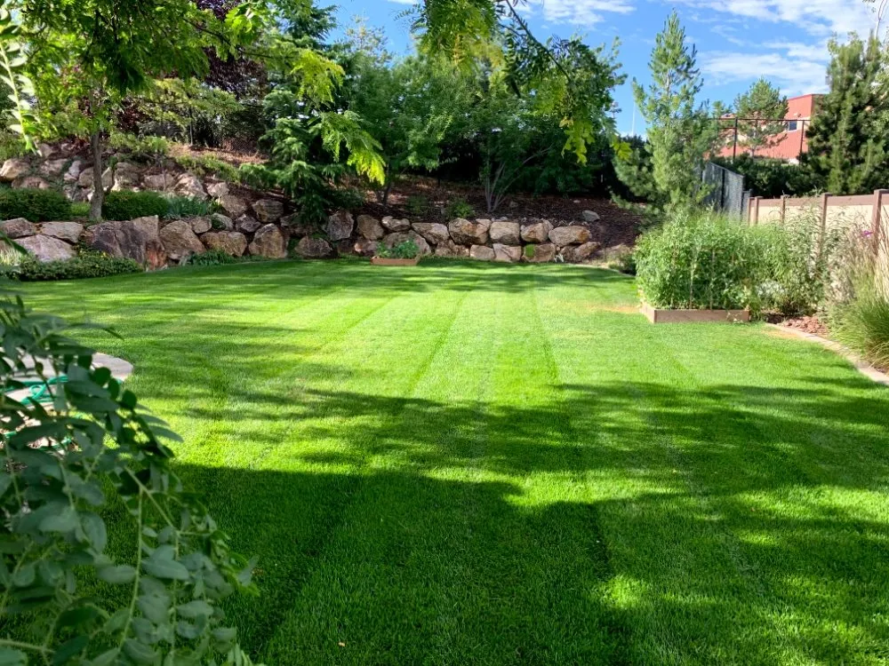Expert lawn care service in South Ogden, UT by R & Js Upkeep Service