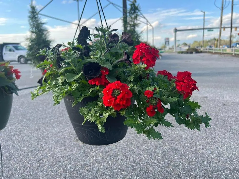 Trusted outdoor landscaping for beautiful yards in Seaford, DE by R & L Irrigation Services