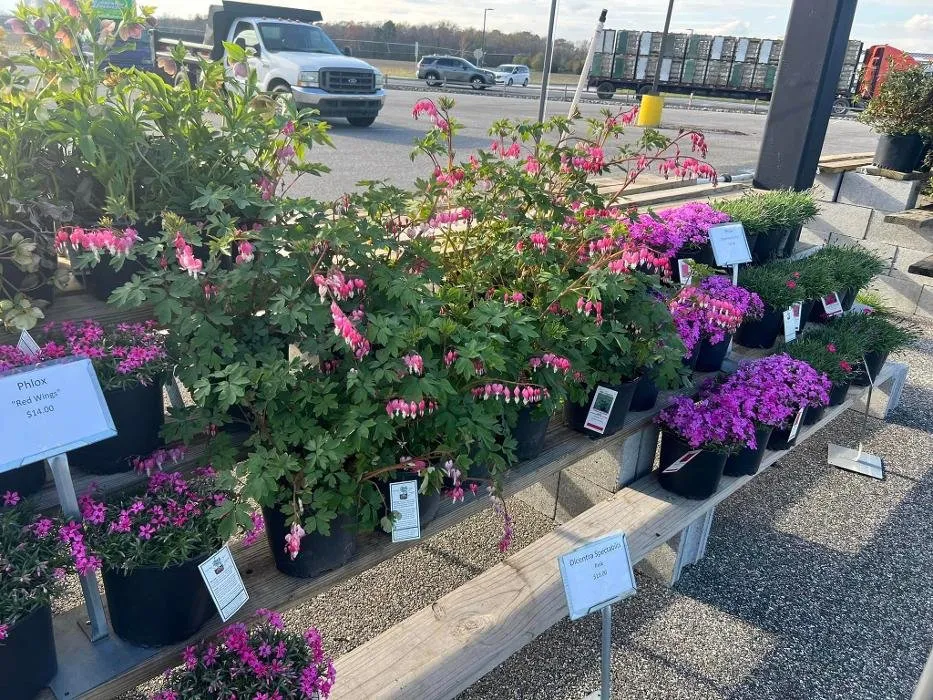 Affordable lawn mowing service experts serving Seaford, DE - R & L Irrigation Services