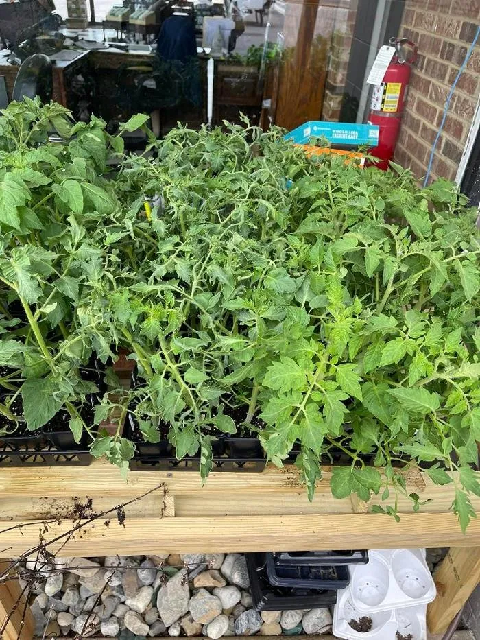 Trusted lawn mowing service in Seaford, DE - R & L Irrigation Services