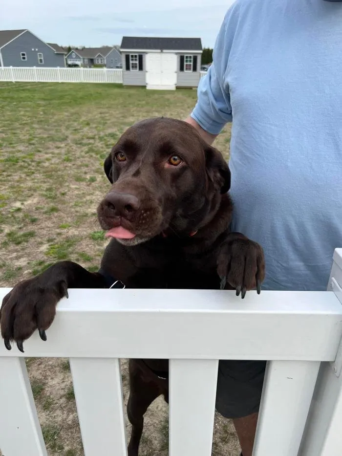 Reliable landscape installation in Seaford, DE by R & L Irrigation Services