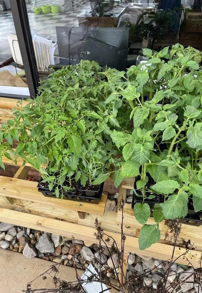 Trusted yard maintenance in Seaford, DE - R & L Irrigation Services