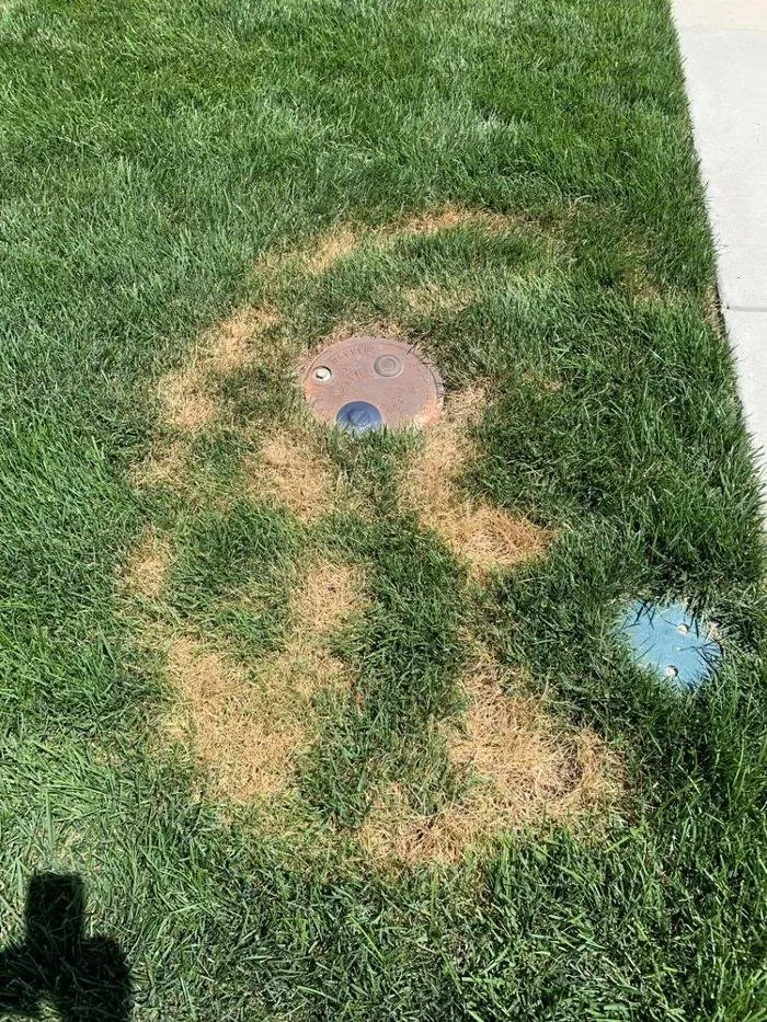 Top-rated outdoor landscaping near you in Seaford, DE by R & L Irrigation Services