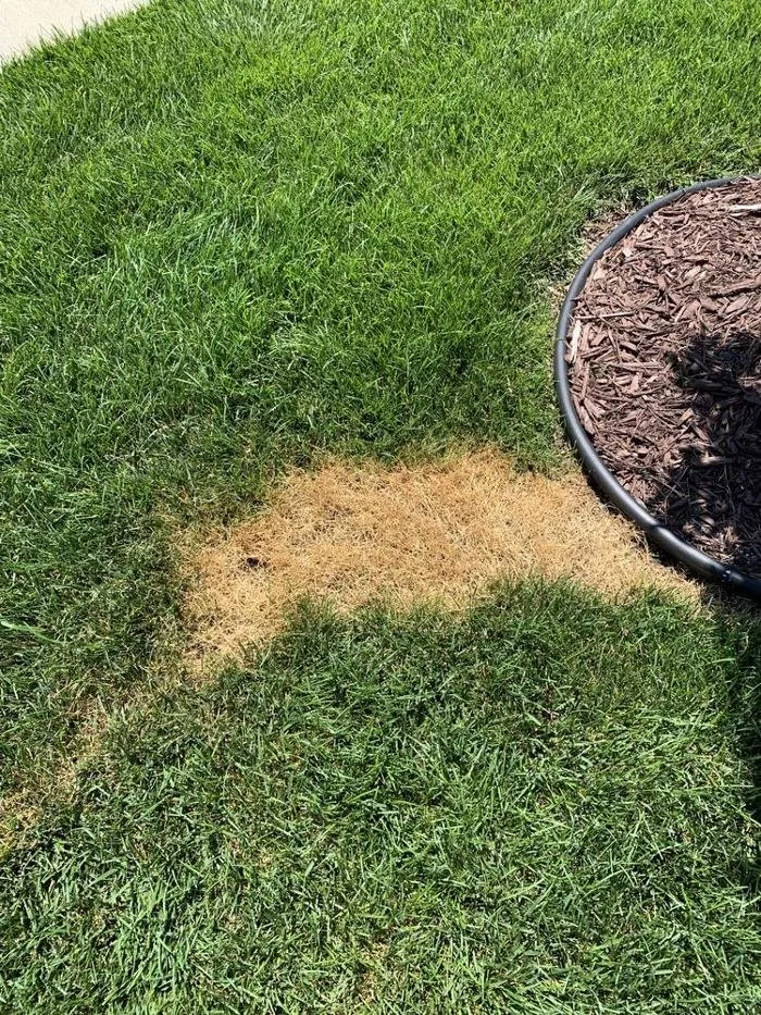 Reliable lawn mowing service experts serving Seaford, DE - R & L Irrigation Services