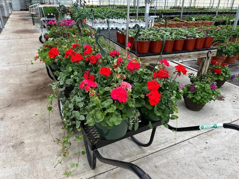 Reliable residential landscaping experts serving Seaford, DE - R & L Irrigation Services