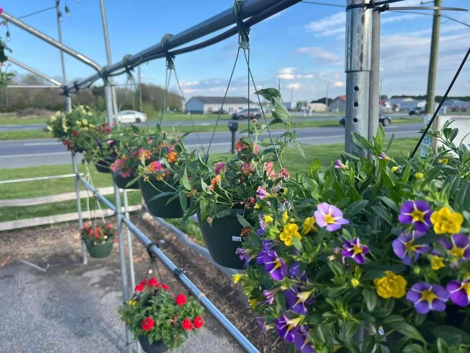 Professional lawn care service in Seaford, DE - R & L Irrigation Services