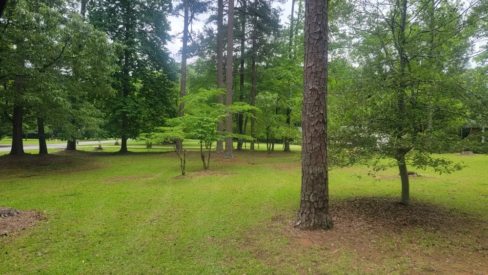 Reliable lawn mowing service for homes in Anderson, SC by R & L Lawn Maintenance