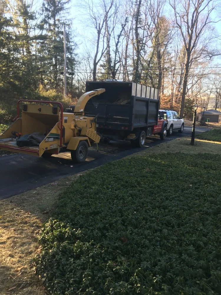 Expert residential landscaping for outdoor upgrades across Ambler, PA - R & L Tree Care