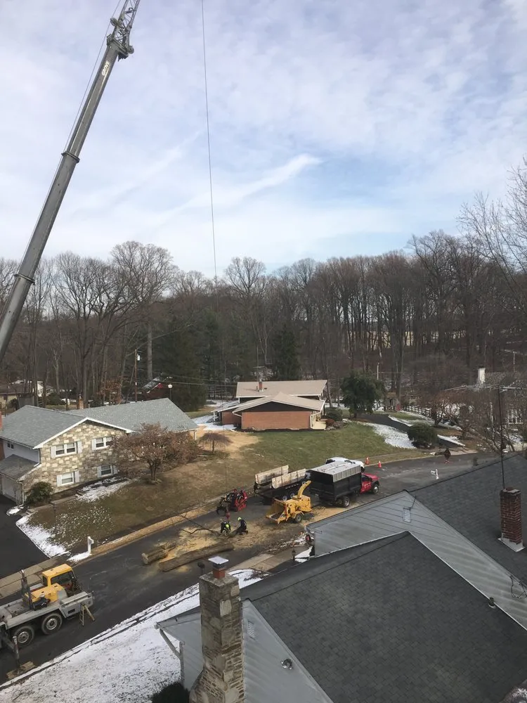 Top-rated landscaping services experts serving Ambler, PA - R & L Tree Care