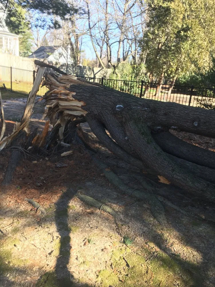 Affordable outdoor landscaping experts serving Ambler, PA - R & L Tree Care