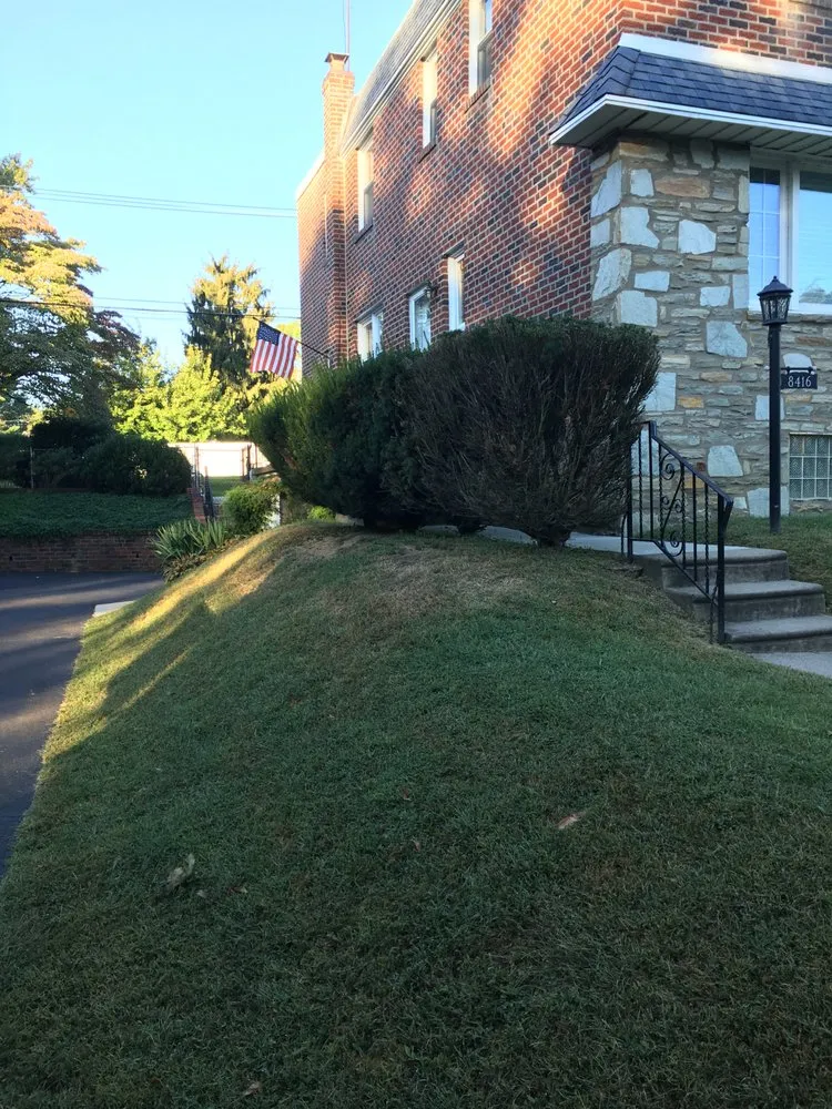 Reliable landscape installation in Ambler, PA by R & L Tree Care