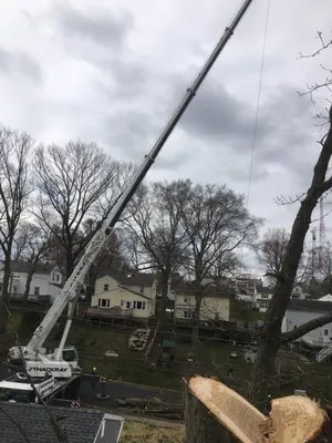 R & L Tree Care